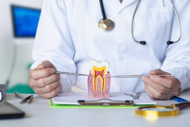 Best Emergency Treatment for Dental Infections or Abscesses in Union Hall, VA